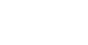 logo PROFIMAX
